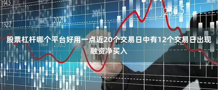 股票杠杆哪个平台好用一点近20个交易日中有12个交易日出现融资净买入