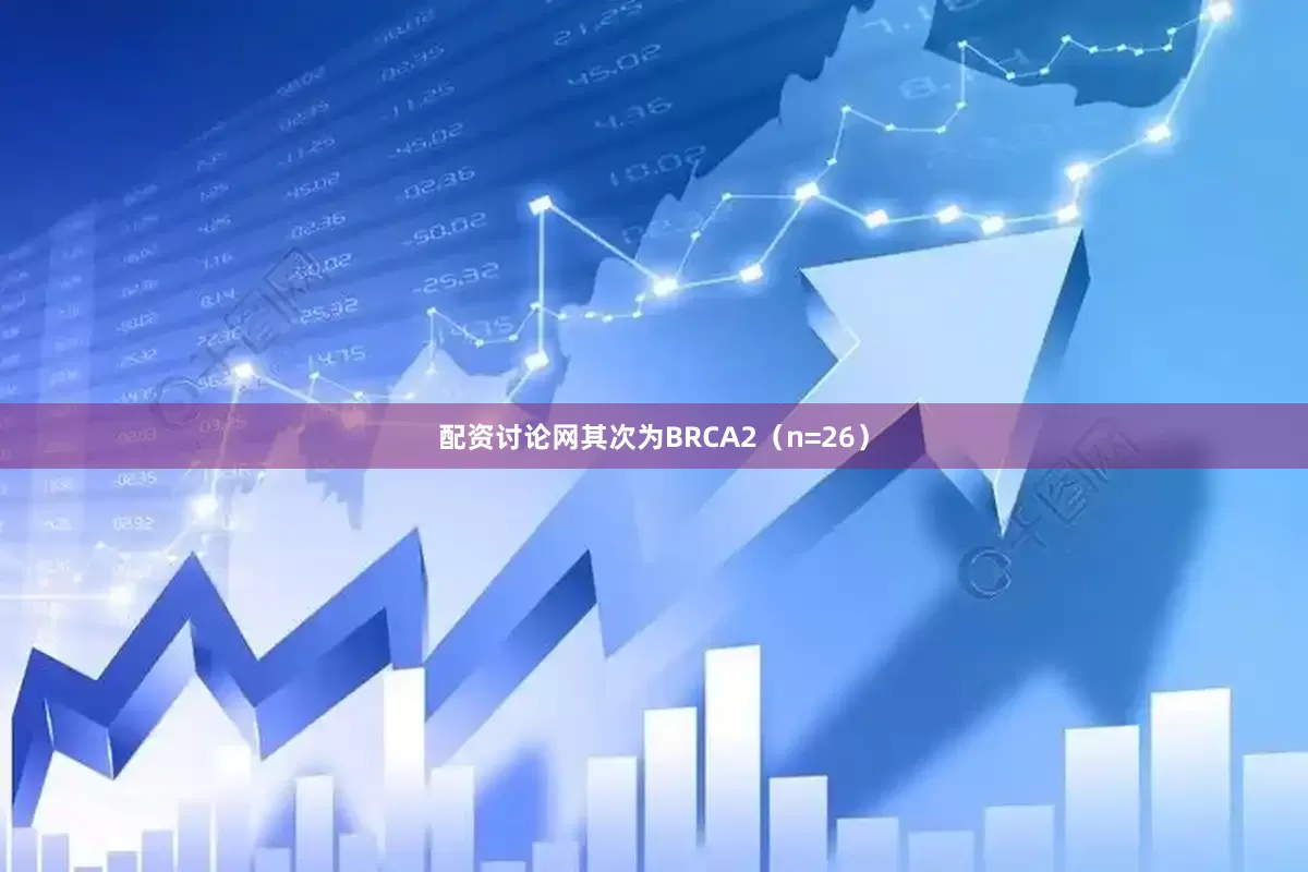 配资讨论网其次为BRCA2（n=26）