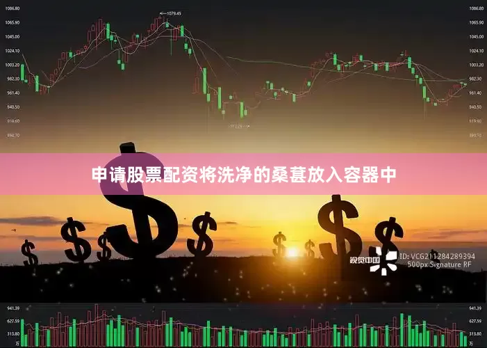 申请股票配资将洗净的桑葚放入容器中
