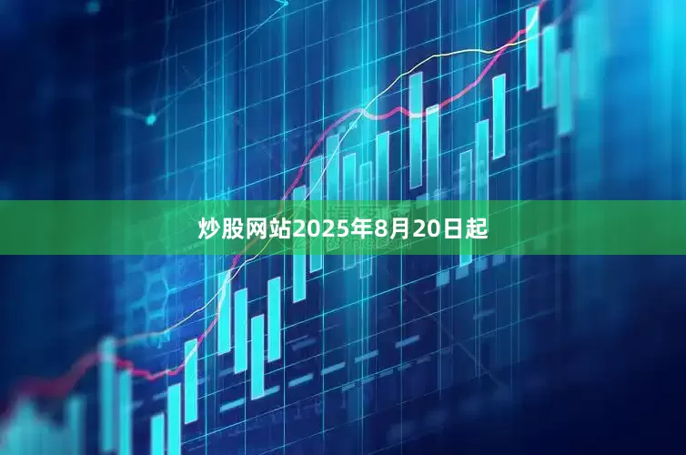 炒股网站2025年8月20日起